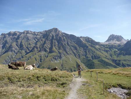 P1030773 - Tomuelpass