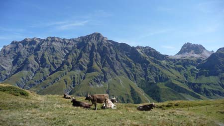 P1030775 - Tomuelpass