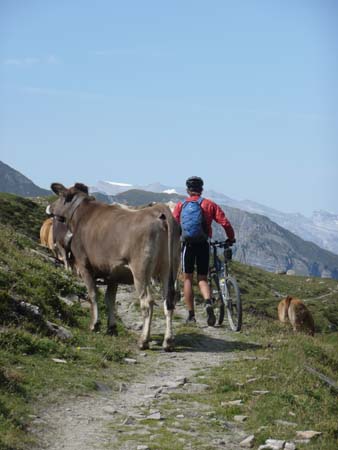 P1030799 - Tomuelpass