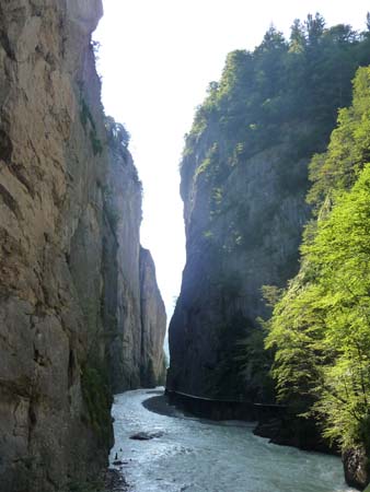 P1030864 - Aareschlucht