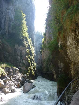 P1030868 - Aareschlucht