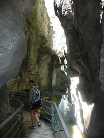 P1030871 - Aareschlucht