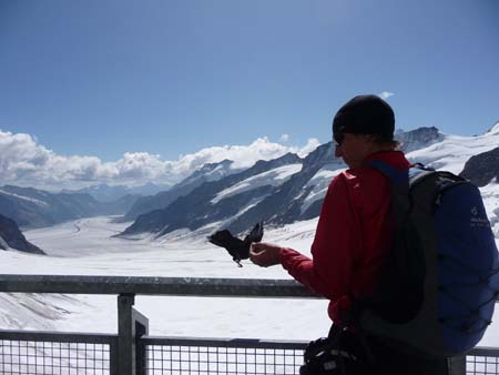 P1030904 - Jungfraujoch
