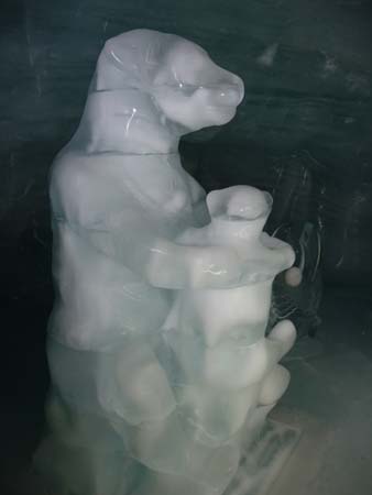 P1030948 - Jungfraujoch